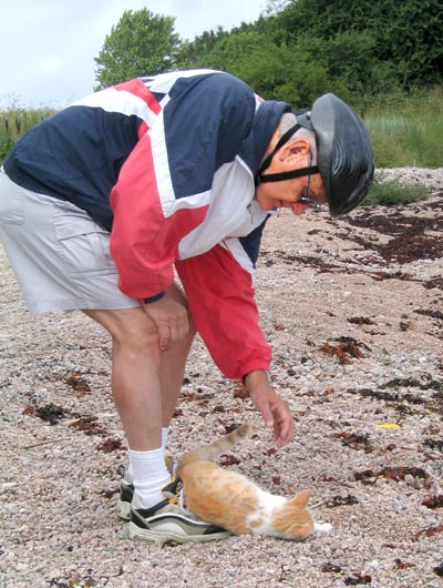 Sten klappar katt i Neksø